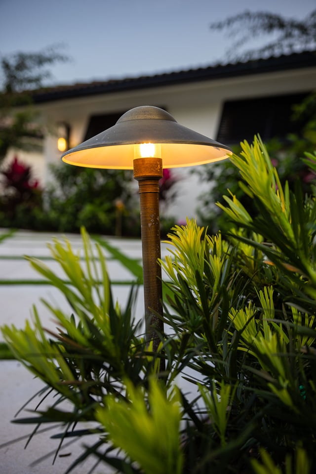 landscape lighting path lighting along driveway 1