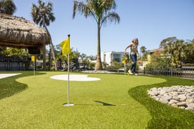 customer artificial turf putting green backyard