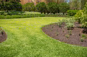 green lawn landscape beds 1
