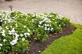landscape maintenance flower bed 1