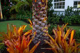 outdoor lighting landscape beds 5