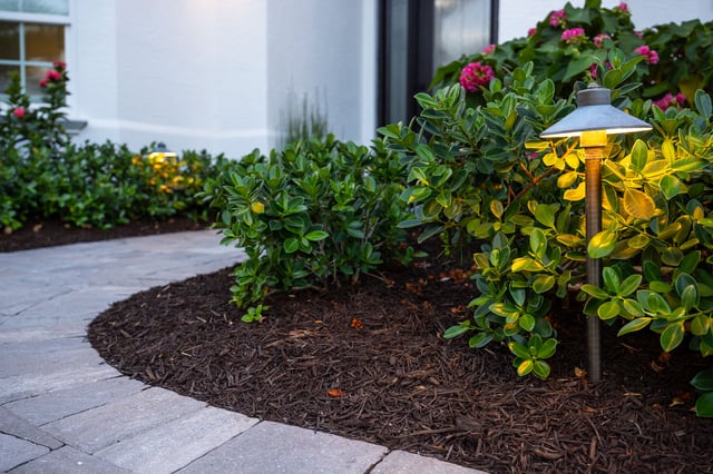 outdoor lighting landscape beds 6