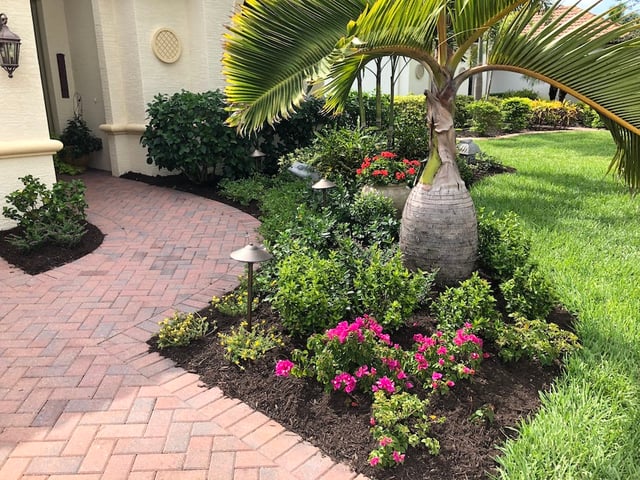 gardnen beds next to driveway and front walkway 